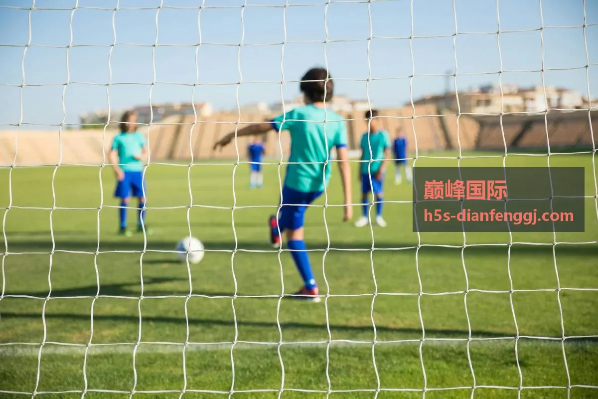 巅峰国际环球金融风险解读